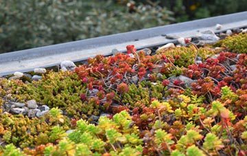 the cost of Great Bookham green roof installation